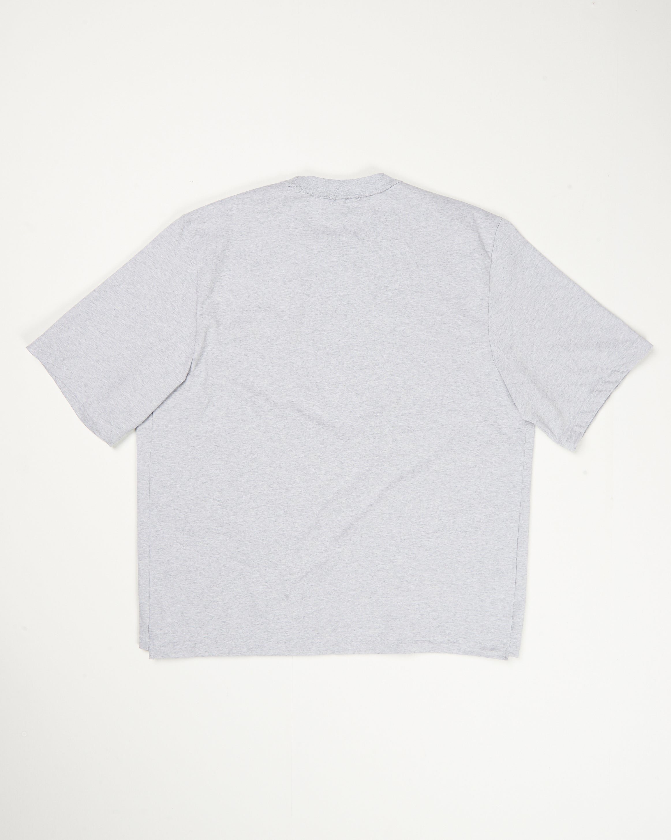 CF.21.01.05.02 BIG TEE heavy jersey grey melange