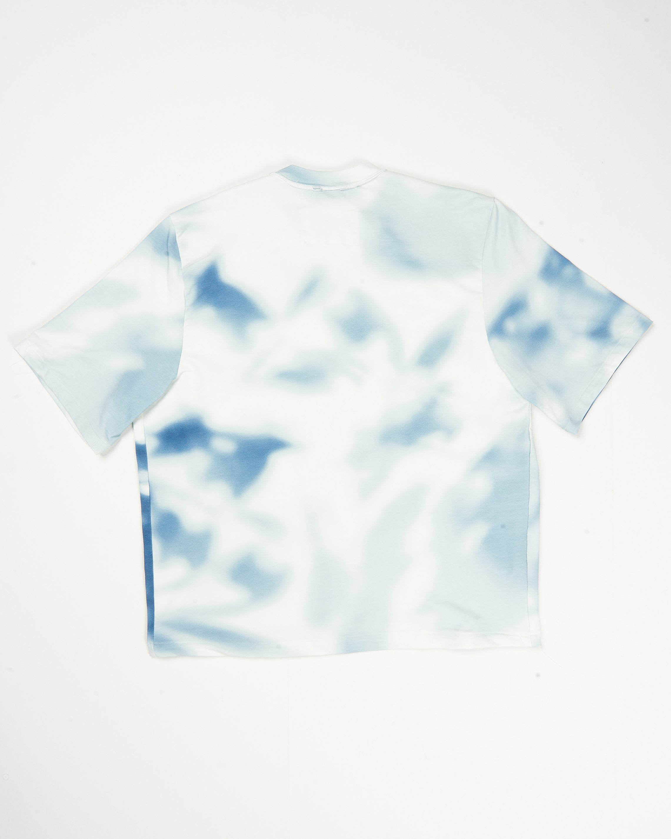 CF.21.01.05.06 BIG TEE heavy jersey shade print