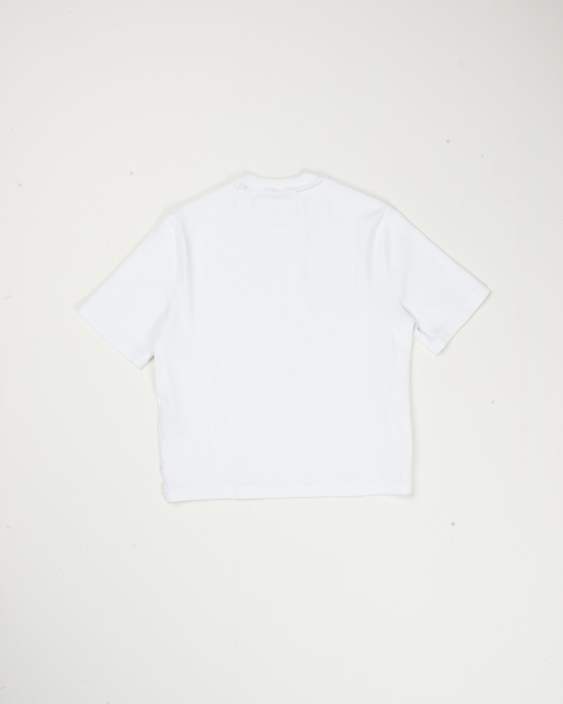 CF.21.01.03.04 NORMAL TEE SS ajur rib white
