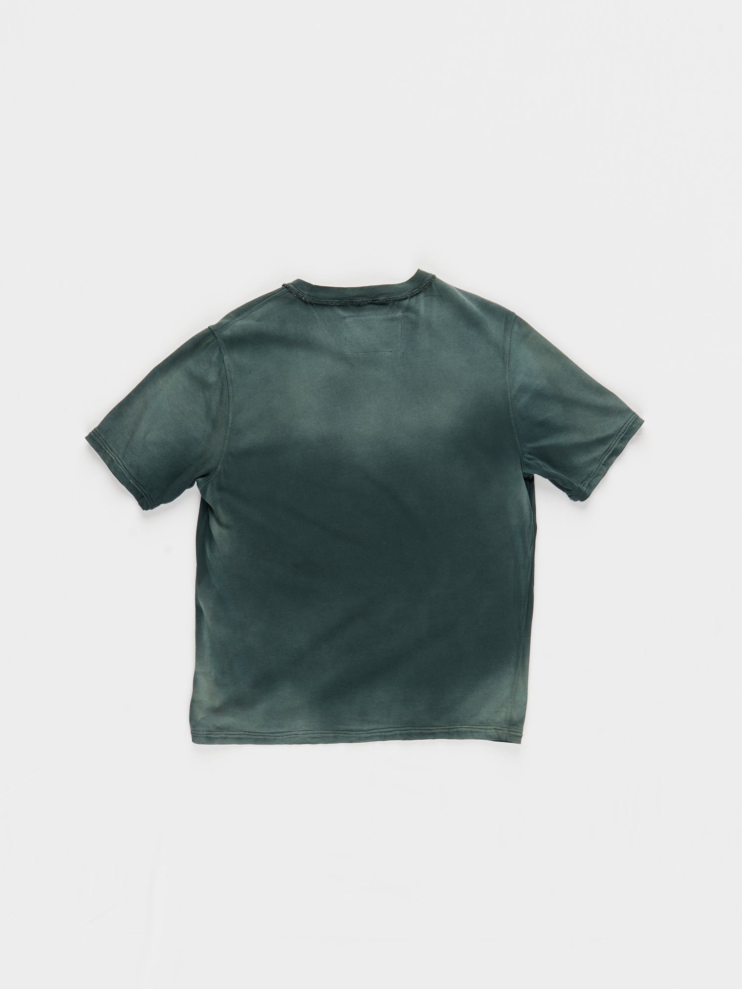 CF.23.01.03.01 NORMAL TEE medium dry jersey sage/black faded