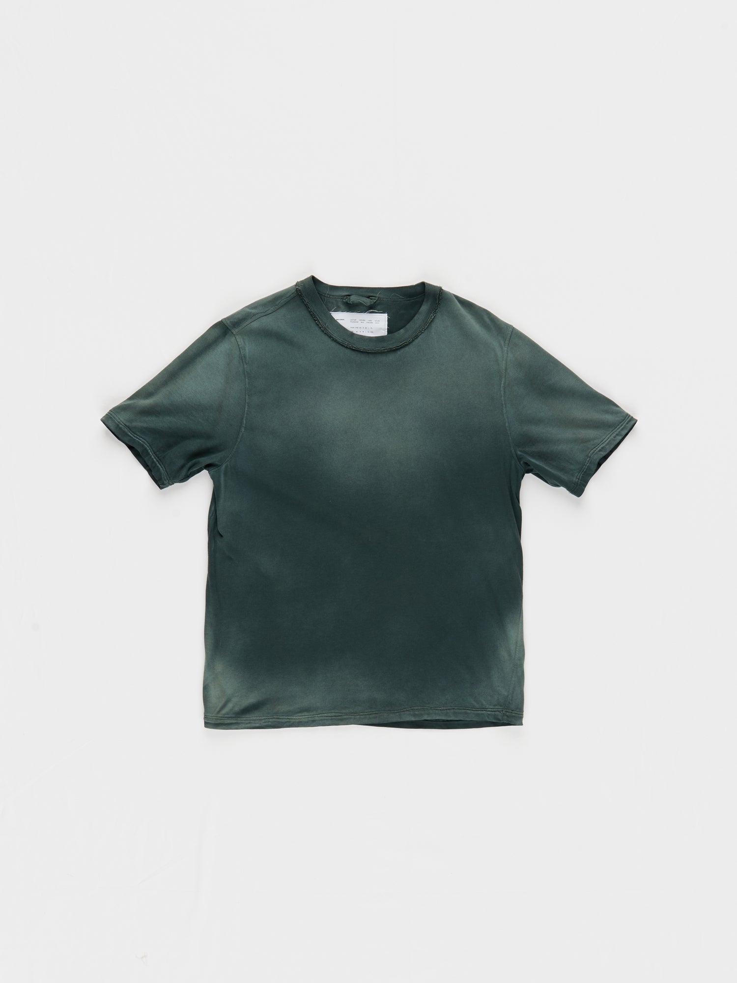 CF.23.01.03.01 NORMAL TEE medium dry jersey sage/black faded