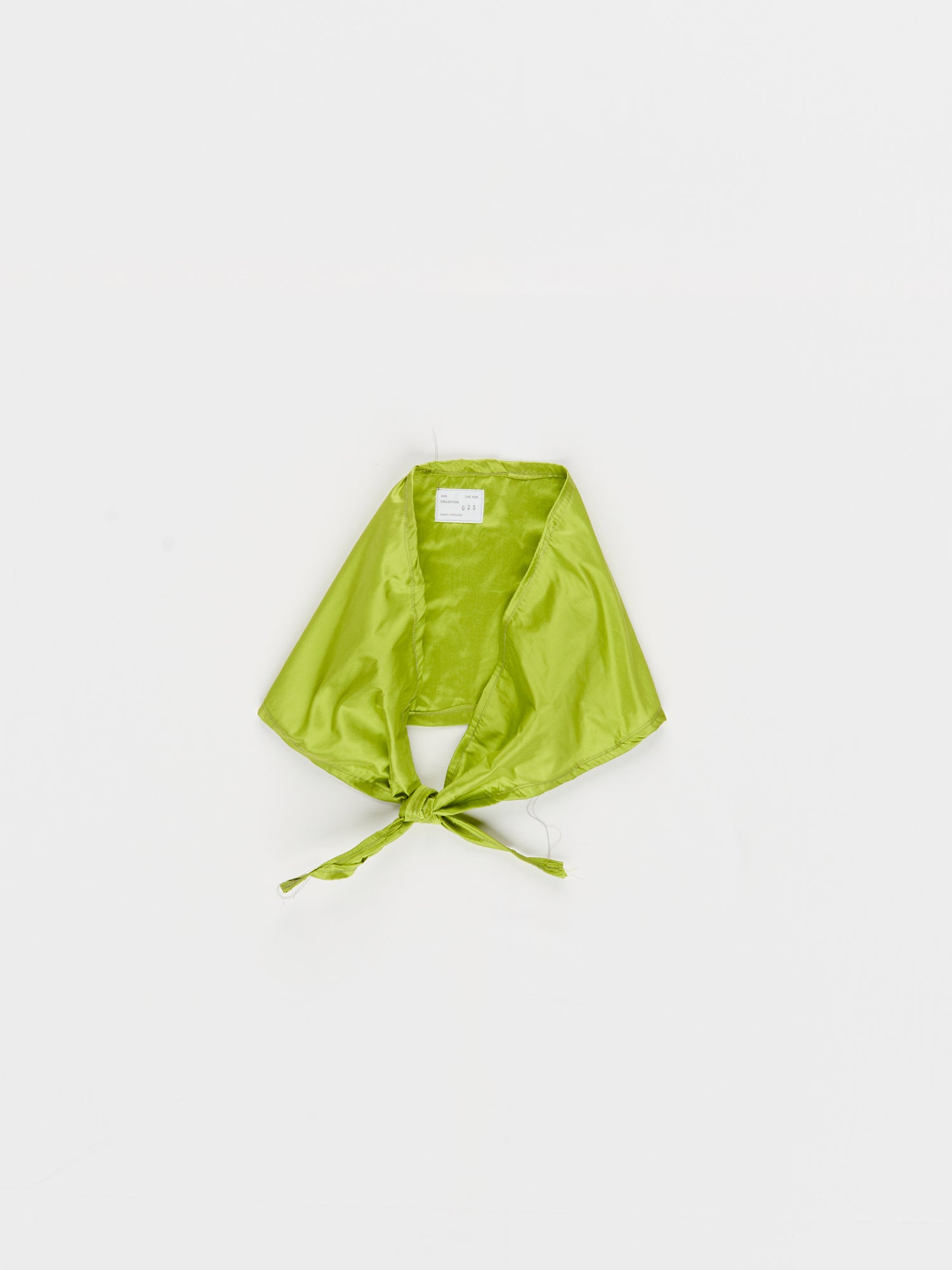 CF.23.11.01.01 SILK SCARF silk green